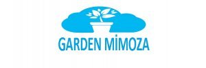 Aydın taş saksı Garden Mimoza