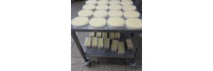 kars toptan peynir satışı Kars Peynir Dünyası 36